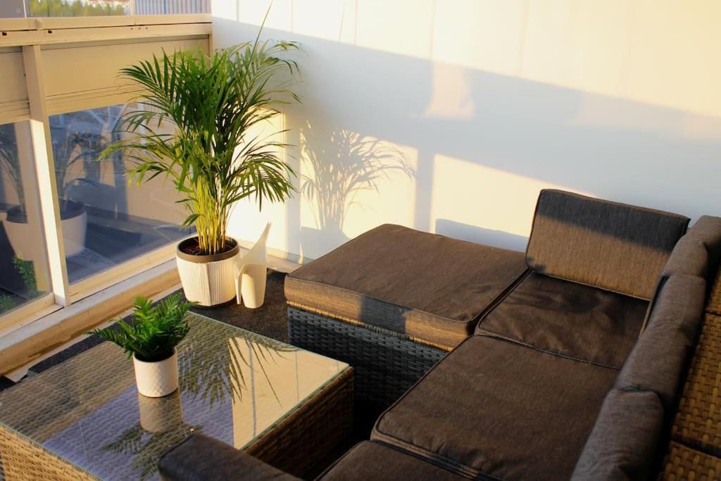 Apartment Modern With Sauna, Near Transit Hub/dixi